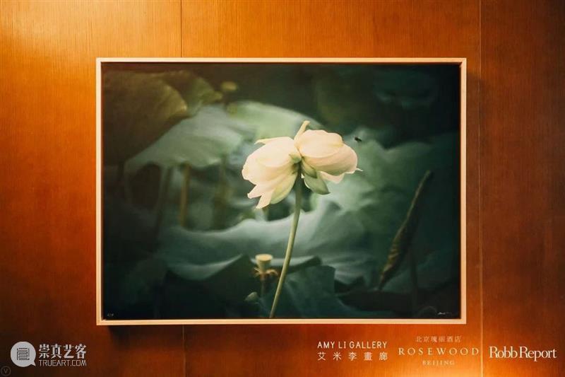 艾米李画廊 · 生活可以美 | 让艺术品走进你的生活 生活 艺术品 艾米 李画廊 行业 艾米李画廊联合瑰丽酒店 罗博报告 艺术展 中外 艺术家 崇真艺客