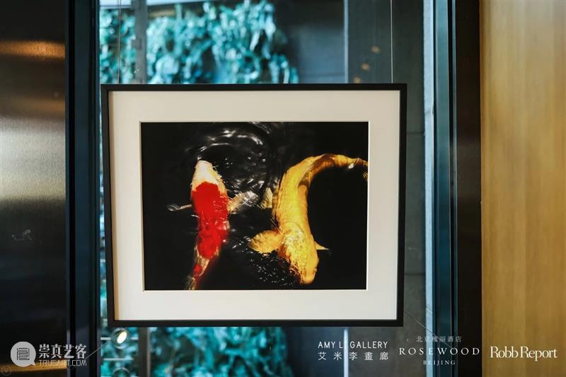 艾米李画廊 · 生活可以美 | 让艺术品走进你的生活 生活 艺术品 艾米 李画廊 行业 艾米李画廊联合瑰丽酒店 罗博报告 艺术展 中外 艺术家 崇真艺客