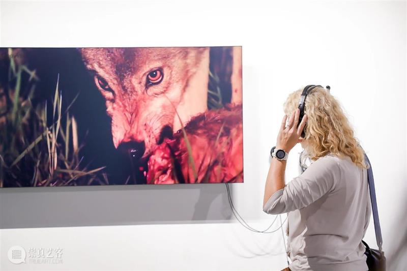 动态|刘娃、苗颖参展 “愈”见新境——2018-2019保时捷“中国青年艺术家双年评选”获奖者作品展 新境 保时捷 中国 青年 艺术家 获奖者 作品展 刘娃 苗颖 动态 崇真艺客