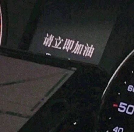 赵婷作品《骑士》确认引进内地;漫威《黑寡妇》或推迟上映 赵婷 作品 骑士 内地 漫威 黑寡妇 影视 好剧 小豆 华谊兄弟 崇真艺客
