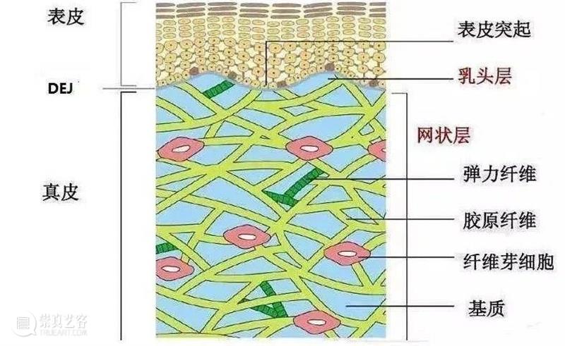 以貌取人,靠谱吗? 崇真艺客
