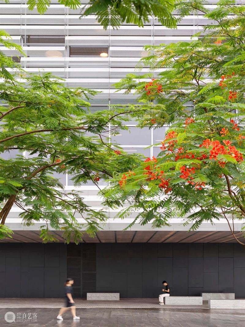 OPEN 新作‘深圳坪山大剧院’，探讨演艺建筑的‘城市职责’ 城市 OPEN 演艺 建筑 深圳 坪山 大剧院 新作 职责 经济 崇真艺客