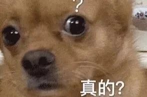 管虎新片《金刚川》定档；三浦春马遗作电影定档 电影 管虎 新片 金刚川 三浦春马 遗作 影视 好剧 小豆 再见 崇真艺客