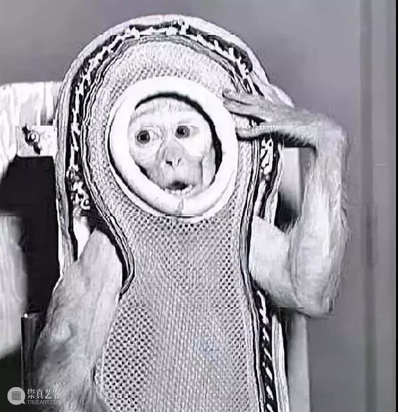 摄影丨100张有关宇宙的照片 照片 关宇宙 上方 中国舞台美术学会 右上 星标 本文 美学 三体 影视 崇真艺客