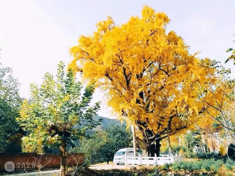 古代文人喜欢在哪嗨？答案和画儿分不开！  王涵 古代 文人 画儿 答案 自然 山水 节假日 交通 人头 古人 崇真艺客
