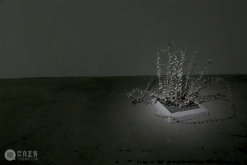 ≡ 马凌画廊 | 艺术家 | 杨季涓  马凌画廊 艺术家 杨季涓 马凌 画廊 Chi Chuan 中国 台湾台北 工作 台北 崇真艺客