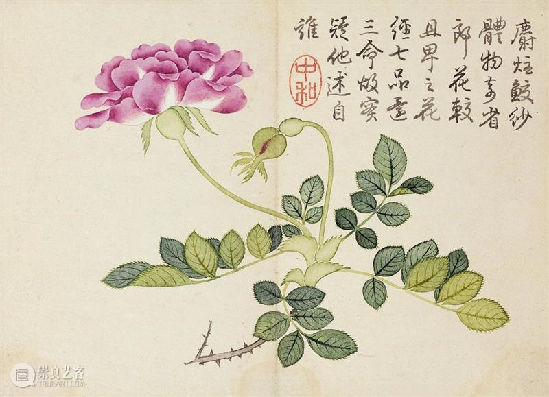​『中贸圣佳25周年春拍』 | 《石渠宝笈》著录 延春阁旧藏 — 钱维城绘、乾隆帝御题《花卉册页》  中贸圣佳 钱维城 花卉册页 石渠宝笈 著录 延春阁 乾隆帝 御题 拍卖会 Sungari Anniversary 崇真艺客