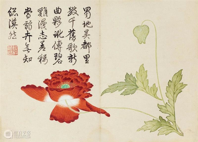 ​『中贸圣佳25周年春拍』 | 《石渠宝笈》著录 延春阁旧藏 — 钱维城绘、乾隆帝御题《花卉册页》  中贸圣佳 钱维城 花卉册页 石渠宝笈 著录 延春阁 乾隆帝 御题 拍卖会 Sungari Anniversary 崇真艺客