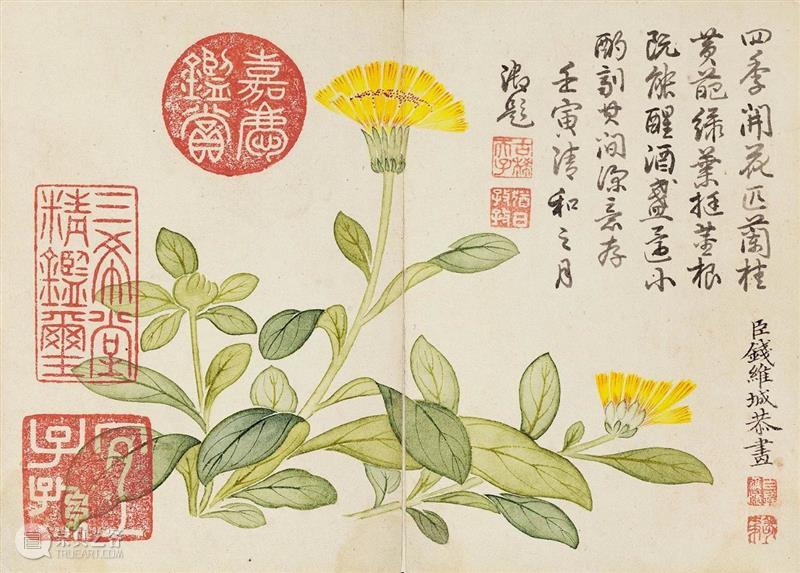 ​『中贸圣佳25周年春拍』 | 《石渠宝笈》著录 延春阁旧藏 — 钱维城绘、乾隆帝御题《花卉册页》  中贸圣佳 钱维城 花卉册页 石渠宝笈 著录 延春阁 乾隆帝 御题 拍卖会 Sungari Anniversary 崇真艺客