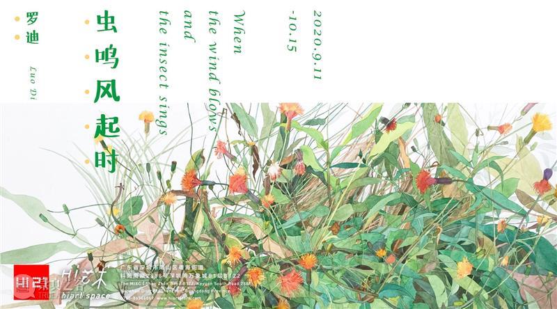 董鹤 | 欧行小记 视频资讯 Hi艺术中心 董鹤 小记 巴洛克 蓝丝绒 个展 展期 时间 电话 地址 北京市朝阳区 崇真艺客