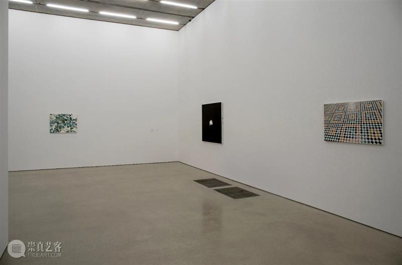托巴·基多里（Toba Khedoori）网格绘画系列简介 博文精选 卓纳画廊DavidZwirner 基多 Toba 托巴 网格 系列 绘画 简介 卓纳 画廊 肖像 崇真艺客