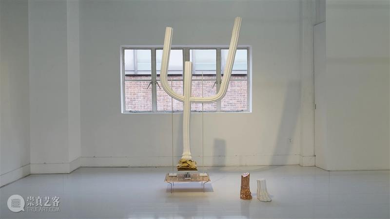 GAC展览 | 爱丽莎发给你一份私人观展攻略，请查收~ 视频资讯 100君JUN 爱丽莎 GAC 私人 观展 攻略 WOW 艺术品 扭蛋 福利 法国 崇真艺客