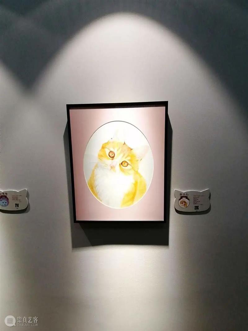 探馆笔记丨就是这个神仙博物馆引得各界名人前去打卡  晨鹿明 博物馆 名人 探馆 笔记 神仙 北京郊区 民房 红顶 小楼 马未都 崇真艺客