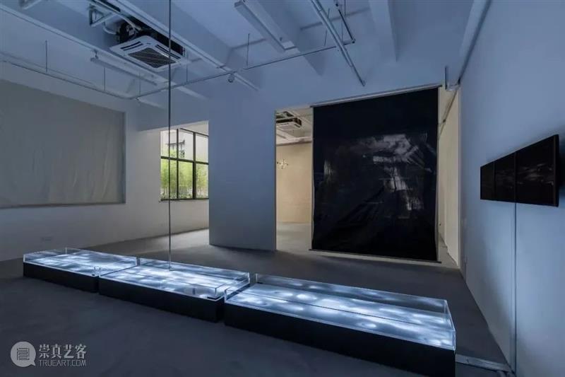 西岸博览会参展画廊 | 量子画廊 西岸艺术与设计博览会 西岸 博览会 画廊 量子 艺术 西岸艺术中心 上海 空间 内景图 上海市 崇真艺客