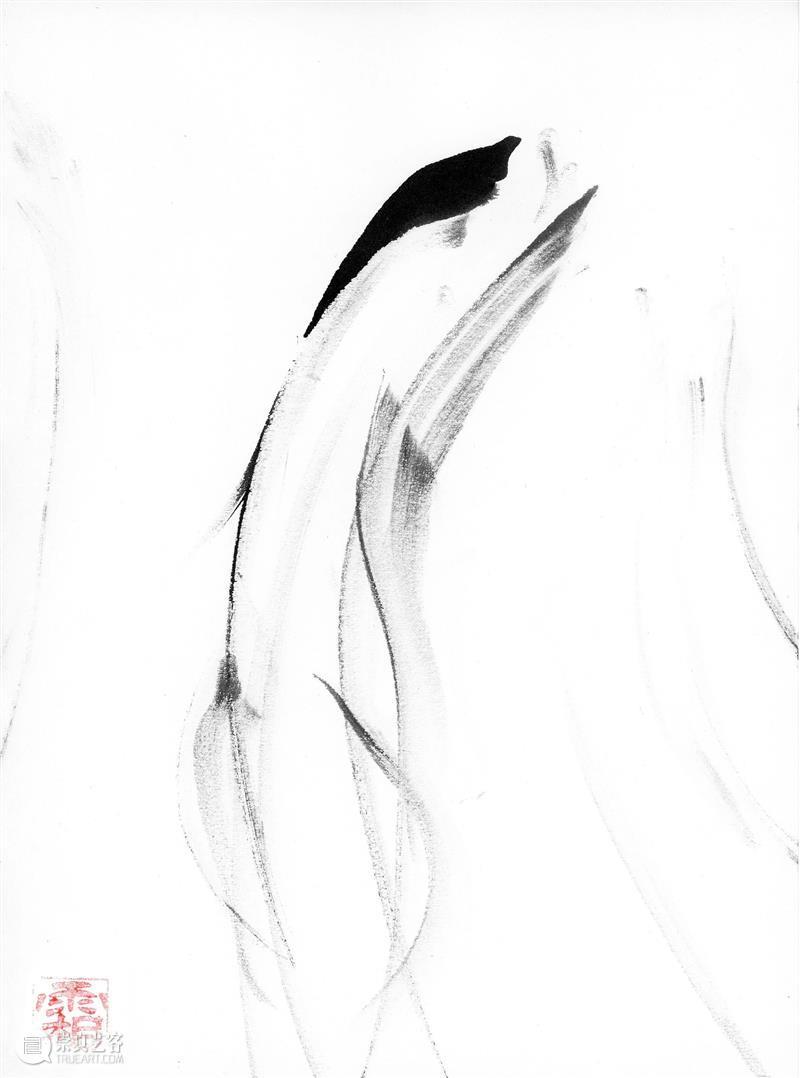 kurimanzutto展讯 | Siembra 8 - 帕布罗·索勒·弗罗斯特:绘画室 kurimanzutto画廊 Siembra 帕布罗 索勒 弗罗斯特 画室 kuri 展讯 年份 系列 计划 崇真艺客