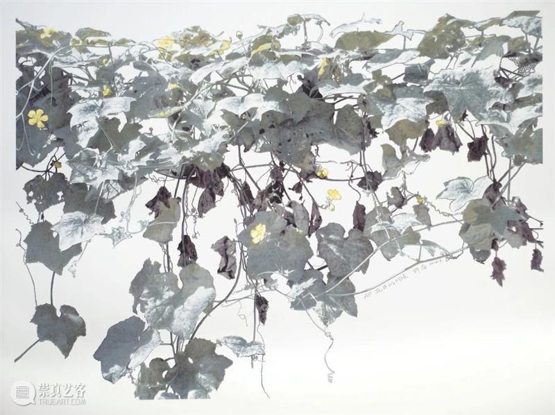 展讯｜小康之路——全面建成小康社会  湖北9＋1美术馆馆藏作品展  湖北美术馆 崇真艺客