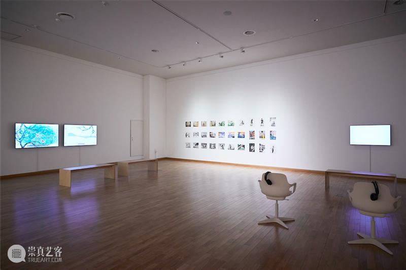 Latest Works and Recent Exhibitions of MadeIn Gallery Artists 崇真艺客