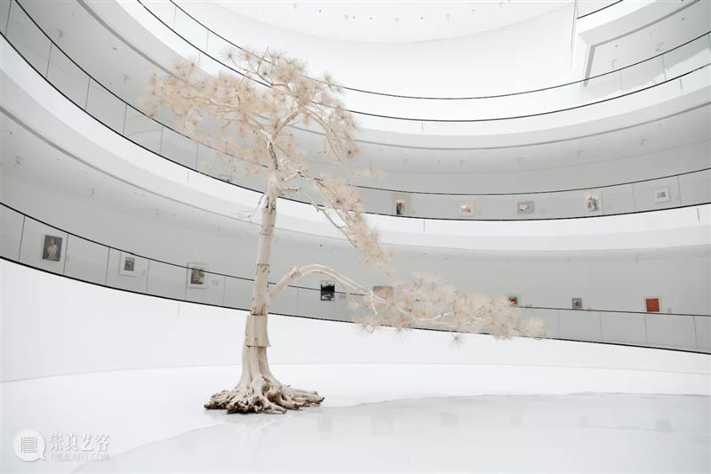 国庆限时特惠，观展 “放价” 倒计时 观展 双节 Plus 假期 场景 情绪 情操 艺术 美食 饕餮 崇真艺客