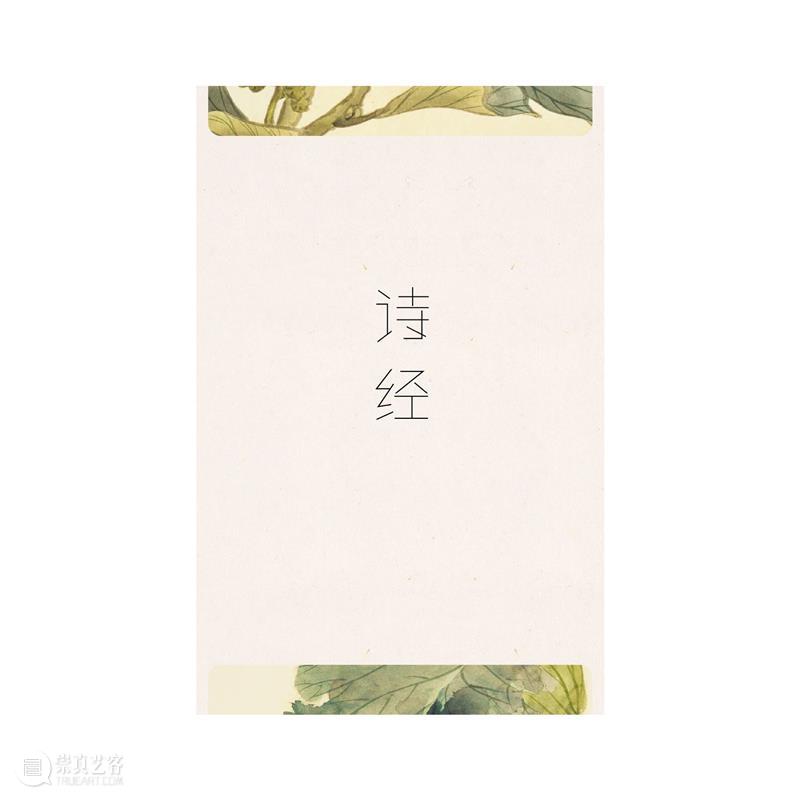 《掬水月在手》记录“中国最后一位女先生” 掬水月在手 中国 先生 上海 谈嘉宾 孙甘露 陈传兴 内容 信息 文学 崇真艺客