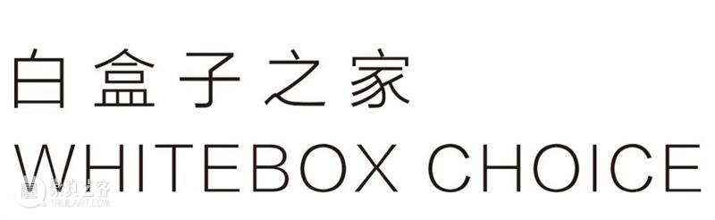 北京当代2020参展机构 | 白盒子之家 盒子 北京 机构 ART LOOP 程序 作品 详情 颜磊 剂量 崇真艺客