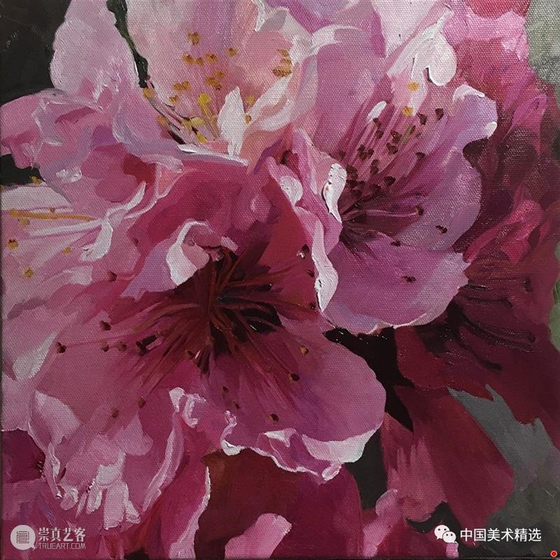 花与器 崇真艺客