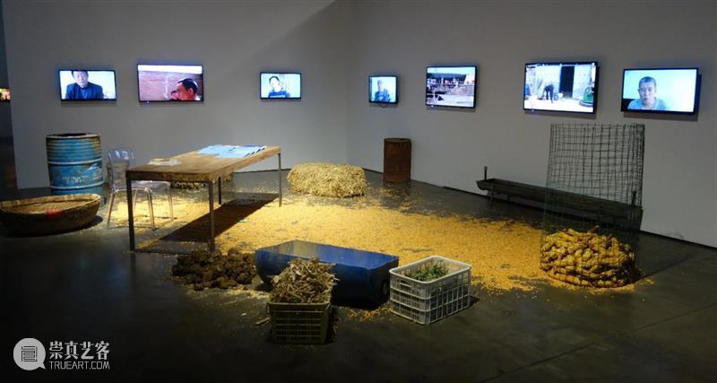 祥山 · 展评 | 徐坦：做田野调查的艺术家 艺术家 徐坦 田野 祥山 展评 作品 新民众花园 工作室 艺术 过程 崇真艺客