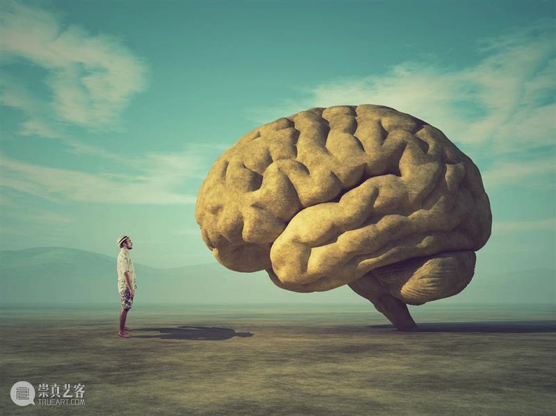 自我消除与群体智能 群体 智能 Imgur 利维坦 空中 鸟群 之间 协调性 冥冥 指令 崇真艺客
