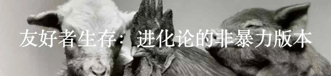自我消除与群体智能 群体 智能 Imgur 利维坦 空中 鸟群 之间 协调性 冥冥 指令 崇真艺客