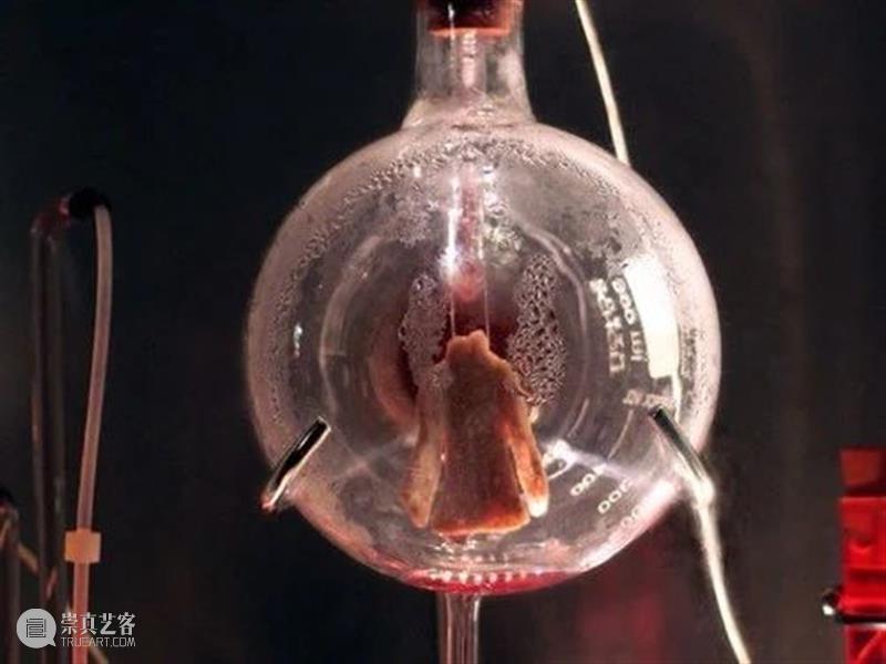 讲座回顾｜费俊：艺术与科技的跨学科语境 讲座 艺术 科技 费俊 语境 华·美术馆 系列 大拿 LecturesNo.72 Talks 崇真艺客