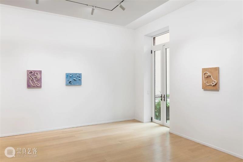 纽约｜展览现场｜麦浮·佩雷特: Flowers in the Eye 纽约 麦浮 佩雷特 现场 Lee 画廊 空间 瑞士 艺术家 个展 崇真艺客