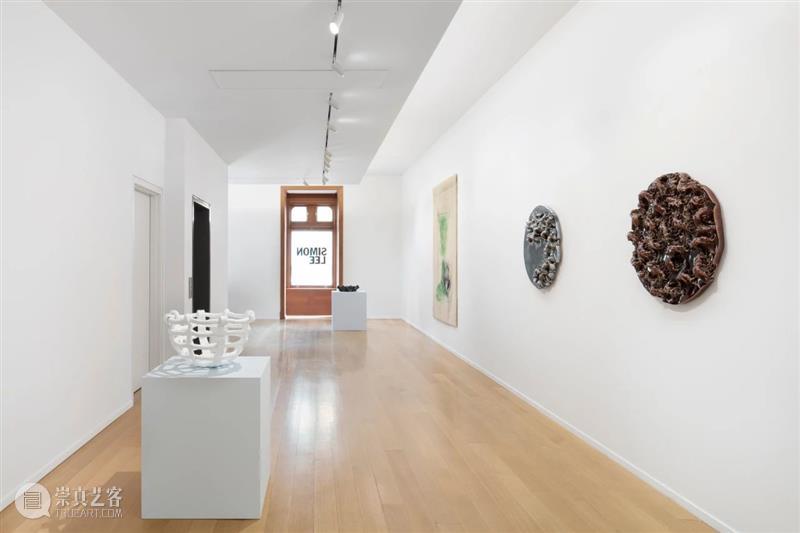 纽约｜展览现场｜麦浮·佩雷特: Flowers in the Eye 纽约 麦浮 佩雷特 现场 Lee 画廊 空间 瑞士 艺术家 个展 崇真艺客