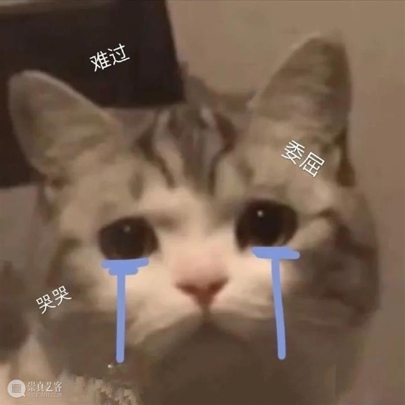 国漫《哪吒重生》定档春节；郭敬明新片《晴雅集》定档 哪吒重生 郭敬明 新片 晴雅集 国漫 影视 好剧 小豆 数码宝贝 剧场版 崇真艺客