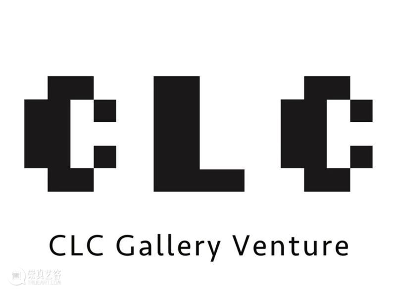 西岸博览会参展画廊 | CLC Gallery Venture 西岸 博览会 画廊 CLC Venture 艺术 西岸艺术中心 北京 空间 Venture总部 崇真艺客