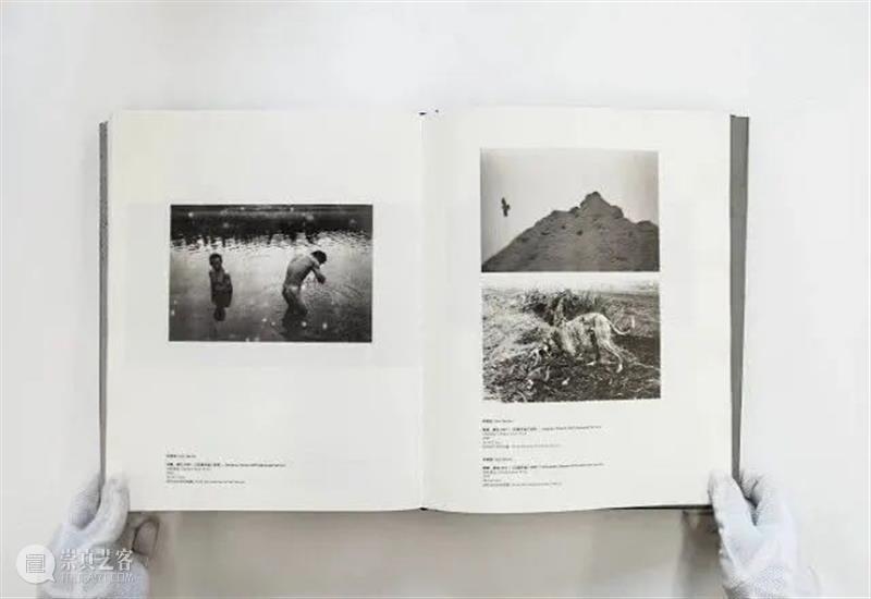 2020年三影堂艺术商店书展第六站|南京艺术书展 艺术 书展 南京 三影堂艺术商店 香港 杭州 北京 成都 上海站 参展商 崇真艺客
