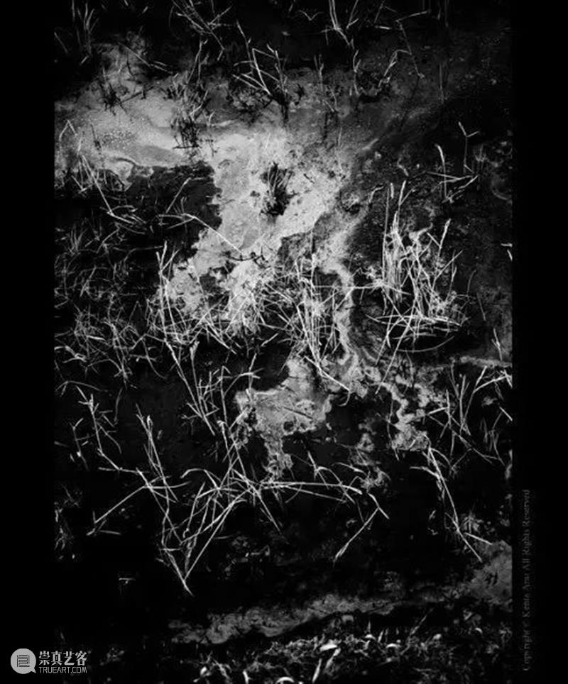 2020年三影堂艺术商店书展第六站|南京艺术书展 艺术 书展 南京 三影堂艺术商店 香港 杭州 北京 成都 上海站 参展商 崇真艺客