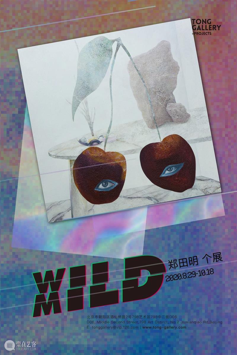 博览会｜Tong Gallery+Projects参加2020南京扬子艺术博览会｜展位A27 南京 扬子 艺术 博览会 展位 Gallery+Projects Gallery+Projects荣幸 蔡东东 黄娟 贾力立 崇真艺客