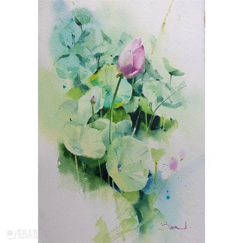 当水彩遇到花卉，简直不要太合适！ 水彩 花卉 END 崇真艺客