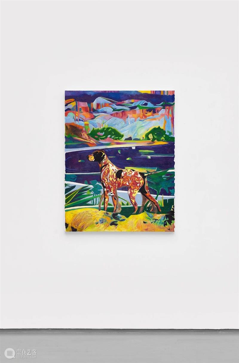 迷彩：宋朋个展 | 10月17日 即将开幕 迷彩 宋朋 个展 展Camouflage 艺术家 Peng Curator 于非 Fei 时间 崇真艺客