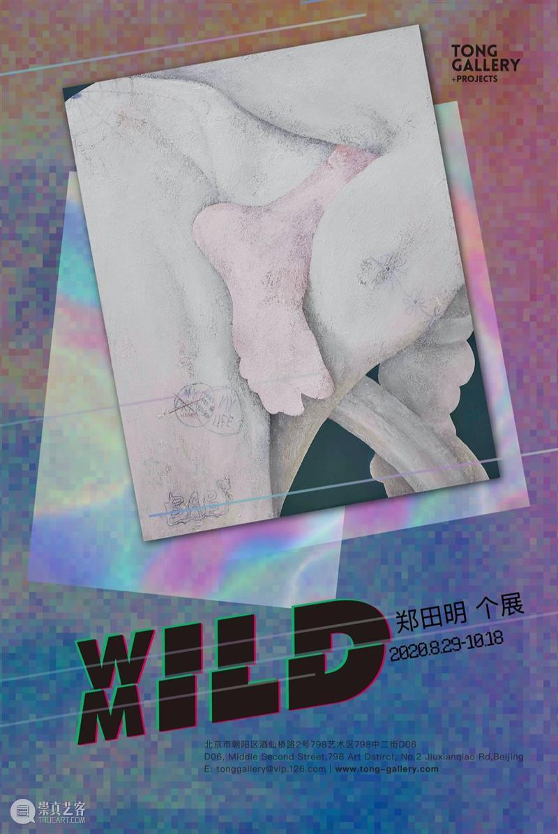 闭馆通知｜Tong Gallery+Projects 将于10月13日至10月16日闭馆 通知 郑田明 ZhengTianming 植物 金牙 辣椒 REEBOK DMXIke bana Chili 崇真艺客