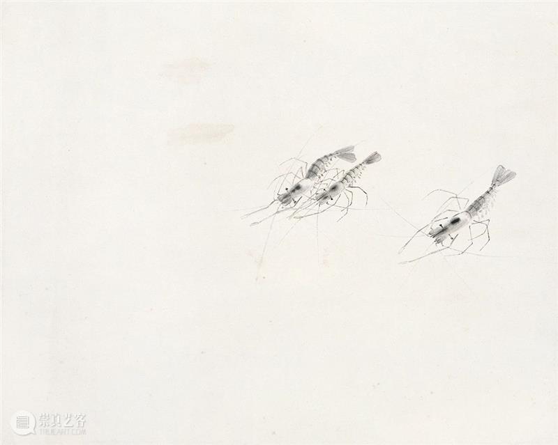 艾青:忆白石老人 老人 艾青 忆白石 北京城 白石 情况 画家 沙可夫 江丰 同志 崇真艺客
