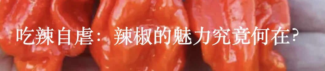青春期与恋物癖的心理解析 青春期 恋物癖 心理 利维坦 事情 日常生活 性行为 之外 全身 举措 崇真艺客