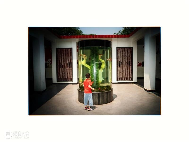 麓湖社区公共艺术季xA4奇妙夜|一场荒诞童话剧场之旅 麓湖 社区 艺术 童话 剧场 季xA 项目 童话剧场 夜晚 瞬间 崇真艺客