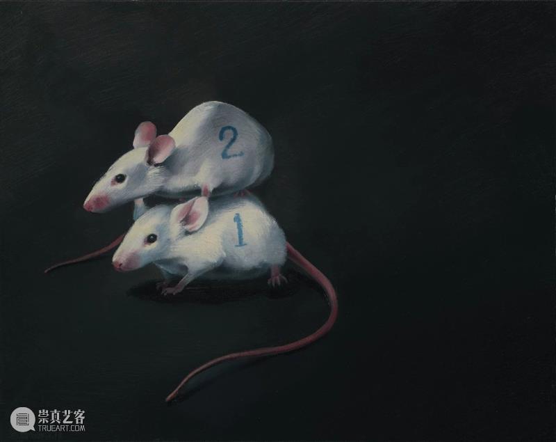 问象展讯| 甜蜜蜜:马焘个展 马焘 个展 甜蜜蜜 展讯 策展人 Curator 展期 Opening 地点 Location 崇真艺客
