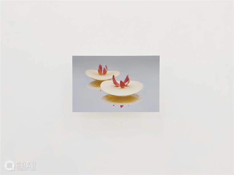 KNOCK KNOCK | 现场 KNOCK 现场 KNOCKKNOCK 艺术家 Artists冯翰婷 刘雪宇 唐菱 张咏瑜 LiuXueyu Yongyu 崇真艺客