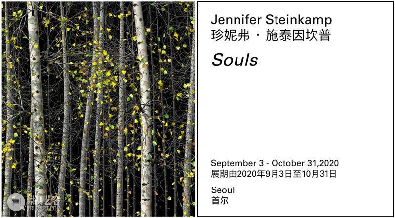 立木画廊线上展厅 | LONDON CALLING 画廊 线上 CALLING 展厅 立木 伦敦 空间 驻点 英国 艺术家 崇真艺客