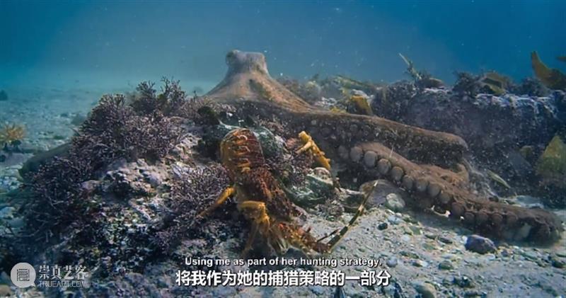 豆瓣9.3,科幻片都不敢这么拍 豆瓣 科幻片 上方 影院 页面 右上 星标 地球 海域 海流 崇真艺客