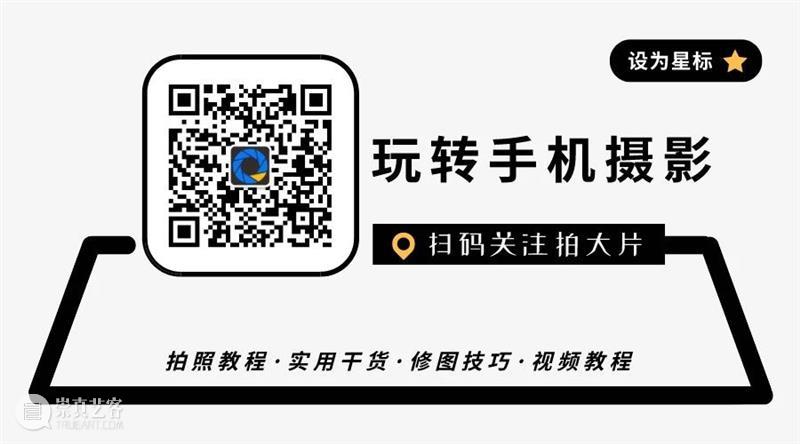 2020,朋友圈超受欢迎的8个公众号! 公众 朋友圈 信息 社会 手机 口碑 好评 态度 价值 内容 崇真艺客
