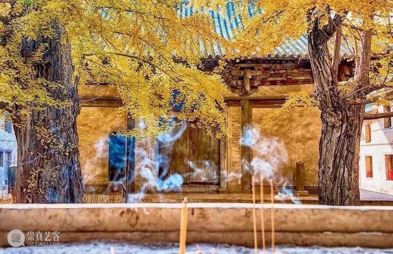 山西游学丨深秋访古太行山:银杏满天,一品青莲(10.30-11.1) 青莲 银杏 山西 游学 深秋 太行山 满天 一品 水中月 尘埃 崇真艺客