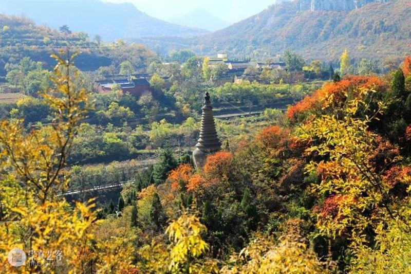 山西游学丨深秋访古太行山:银杏满天,一品青莲(10.30-11.1) 青莲 银杏 山西 游学 深秋 太行山 满天 一品 水中月 尘埃 崇真艺客
