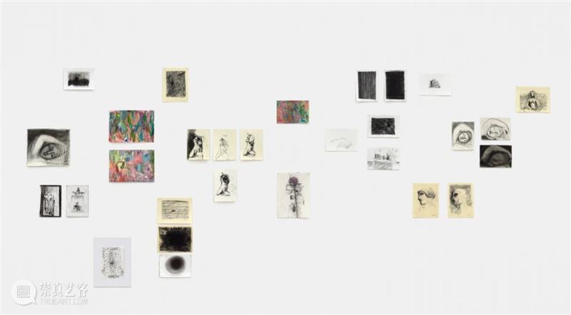 线上弗里兹 | 玛丽安 · 古德曼画廊线上展厅呈现萨宾娜 · 莫里茨精选作品 博文精选 MGG 弗里兹 线上 展厅 玛丽安 古德曼 画廊 萨宾娜 莫里茨 作品 原文 崇真艺客